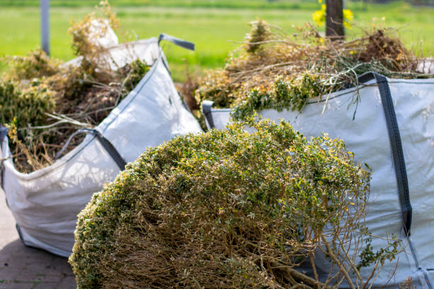 Best Furniture Removal Near Me  in Nelsonville, OH